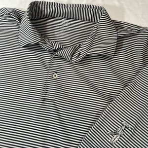 Turtleson Polo Shirt Mens XL Blue Striped Performance Golf Casual Preppy